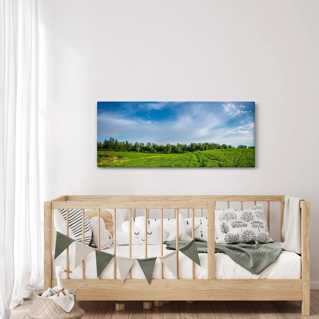 Rét képe (120x50 cm)