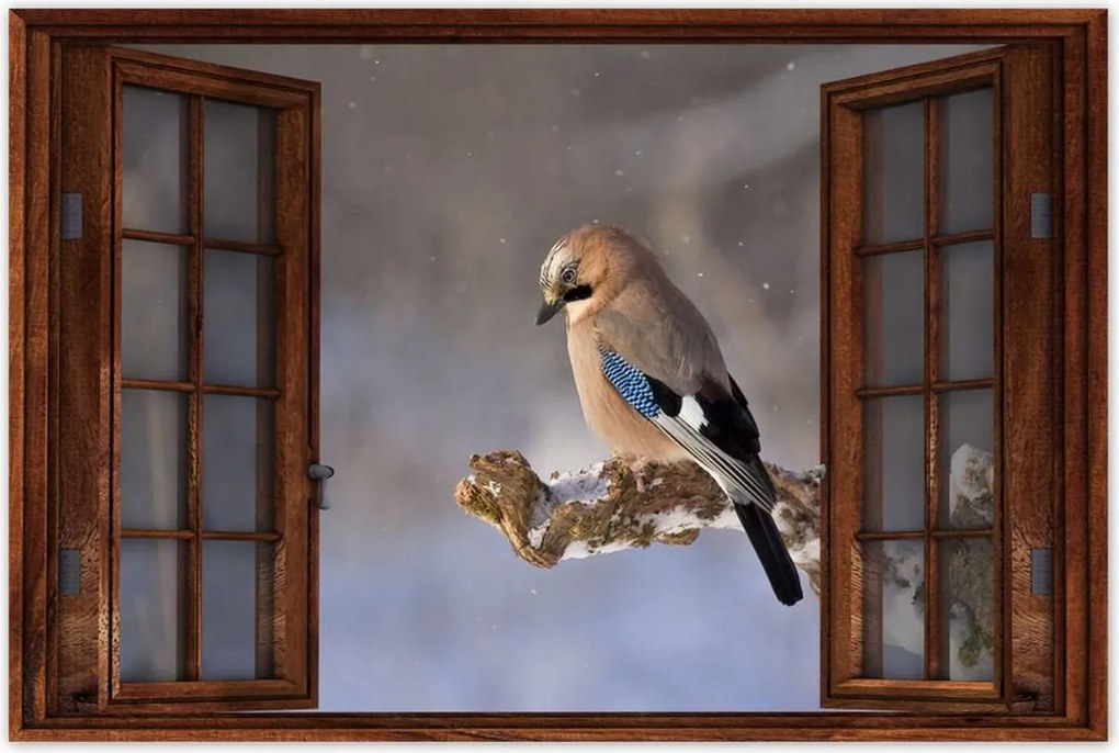 Poszterek 60x40 Magányos madár Madár