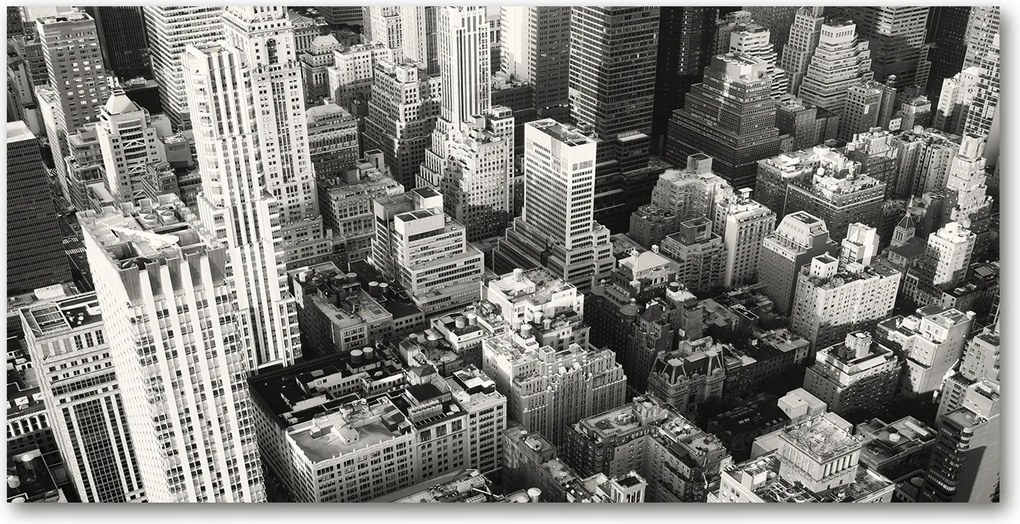 Fotó üvegkép New York madár repülés 140x70