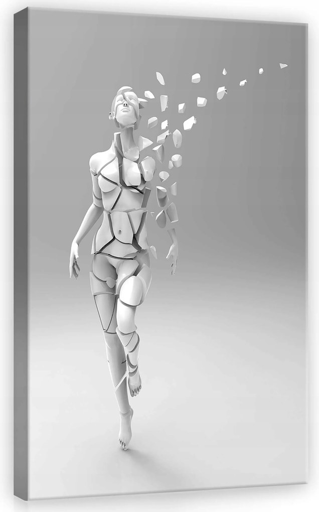 Vászonkép 40x60 Töredezettség szétesés átalakulás nő fehér szürke művészet