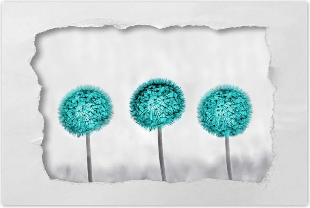 Poszterek 90x60 Pitypangok