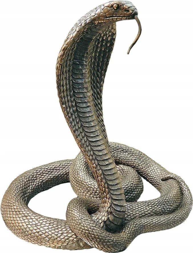 Királykobra Fantasztikus Figura Eredeti Irodai Dekoráció A Főnök Számára
