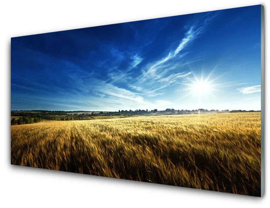 Akril üveg kép Búza Mező nap táj 140x70 cm