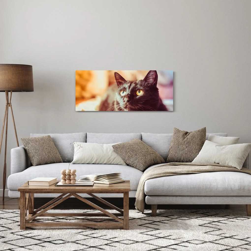 Fekete macska képe (120x50 cm)