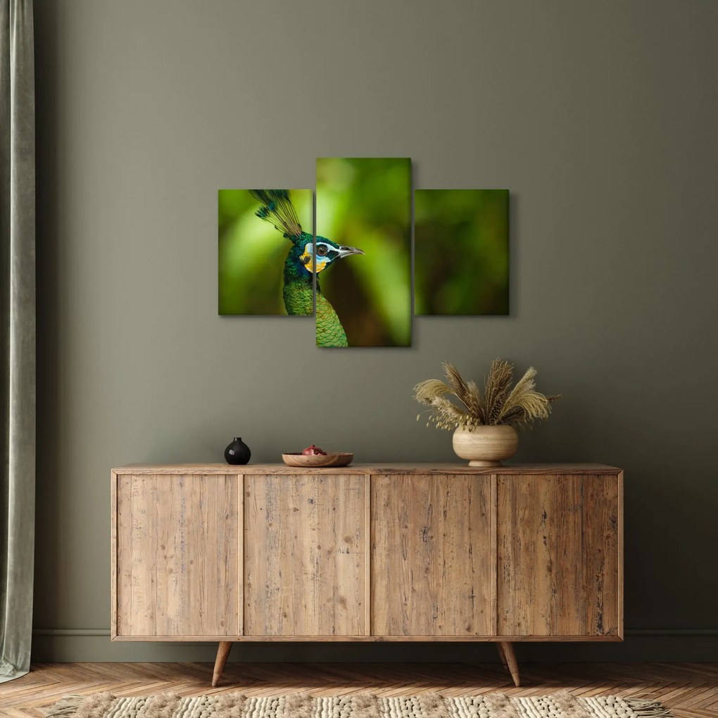 Páva képe (90x60 cm)