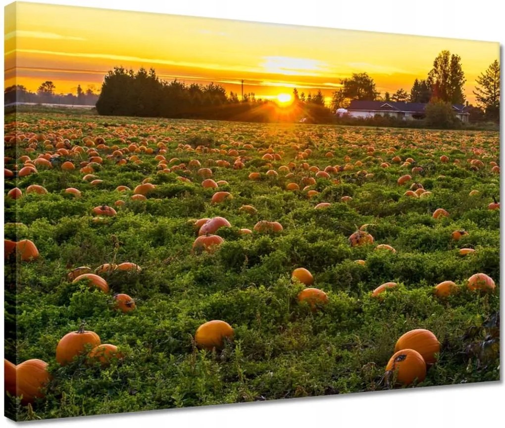 Vászonkép 40x30 Tájkép Látvány