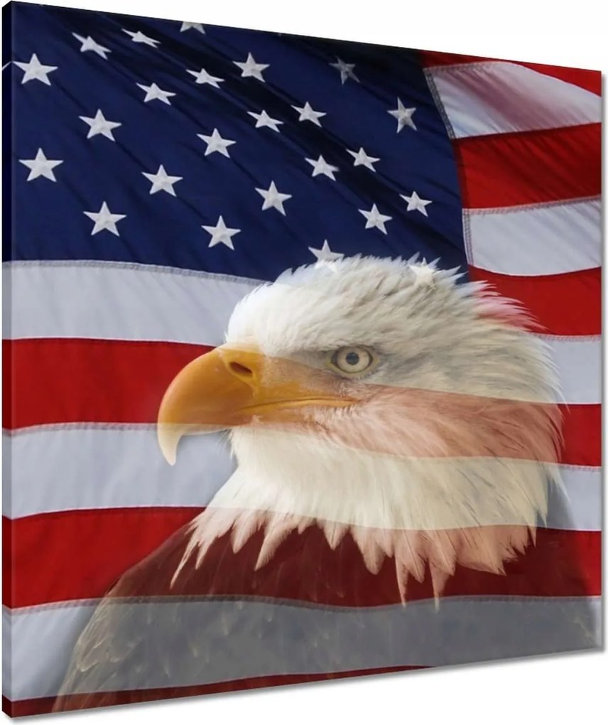 Vászonkép 60x60 Freedom from Usa