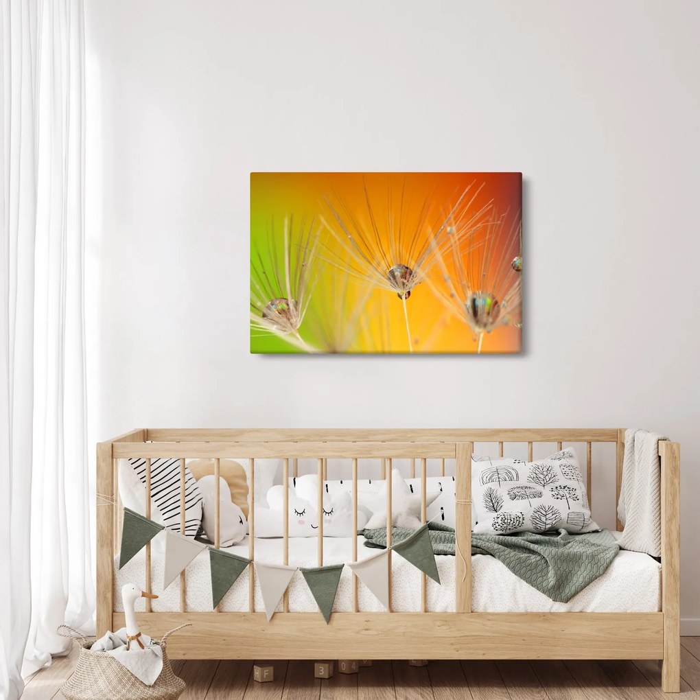 Cseppek a növényen képe (90x60 cm)