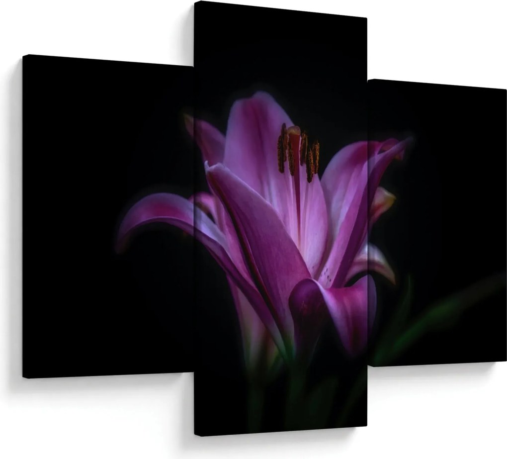 A liliom képe (90x60 cm)