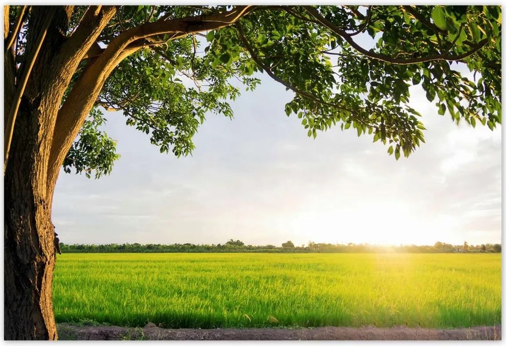 Poszterek 200x135 Misztikus naplemente