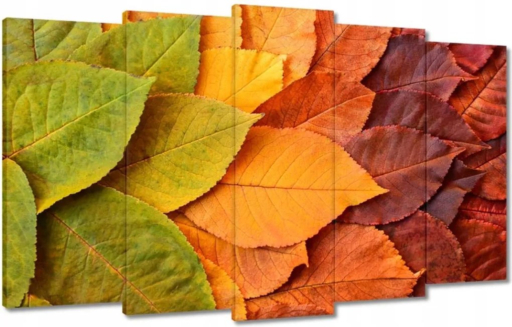 Vászonkép 100x60 Őszi színes levelek Levelek az ősz színeiben
