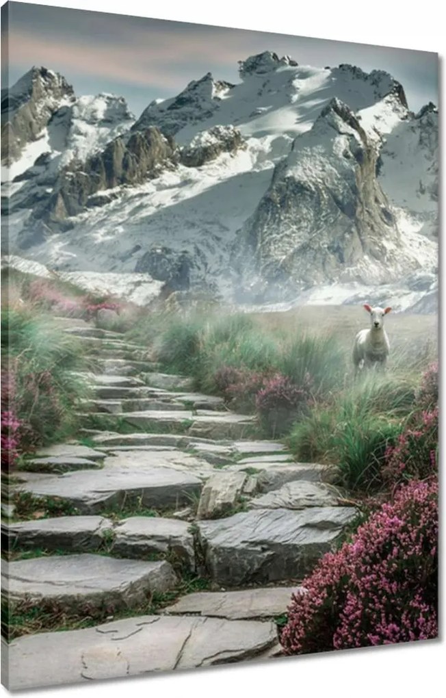 Vászonkép 60x80 Hegyi kilátás Tájkép Köd