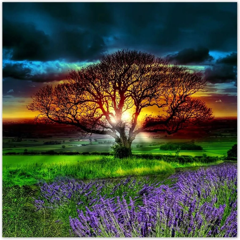 Poszterek 100x100 Az élet fája