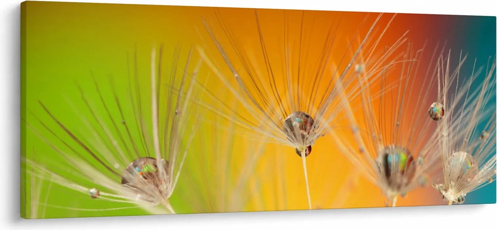 Cseppek a növényen képe (120x50 cm)