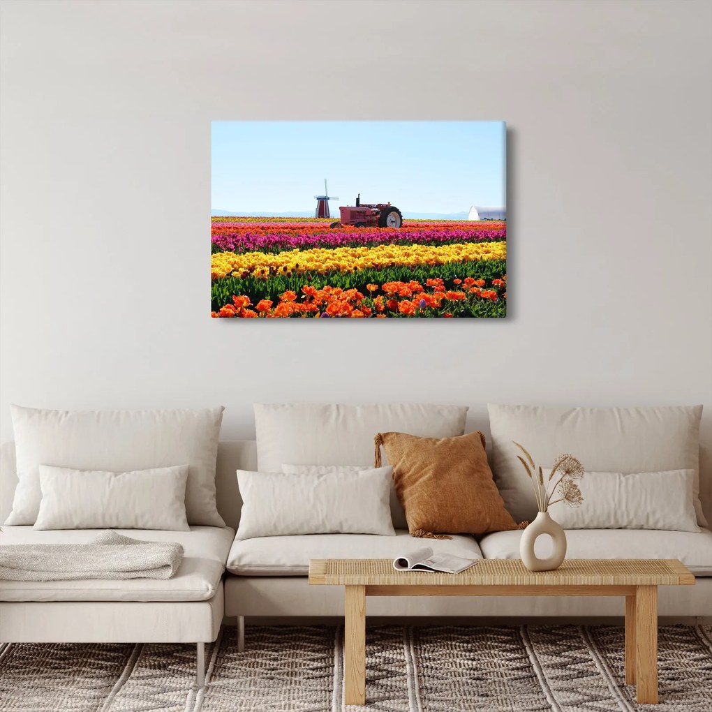 Tulipánfarm képe (90x60 cm)