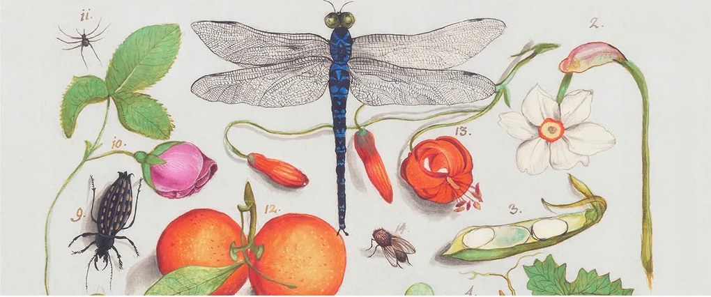 Flizelin tapéta Fali furnér 3D hatás Természeti illusztráció 250x104