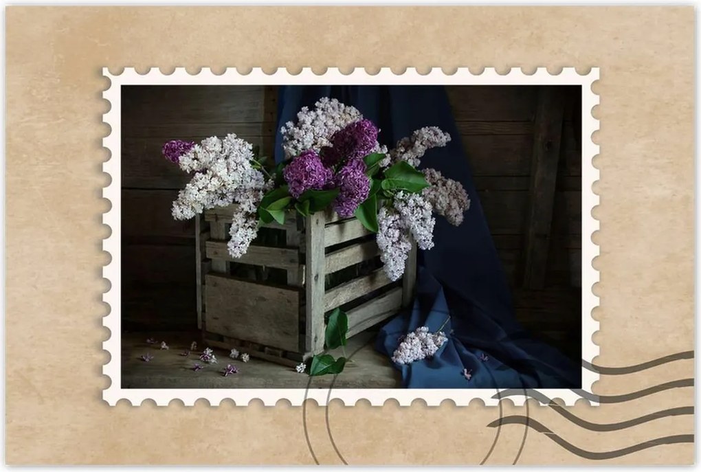 Poszterek 60x40 Doboz nélkül