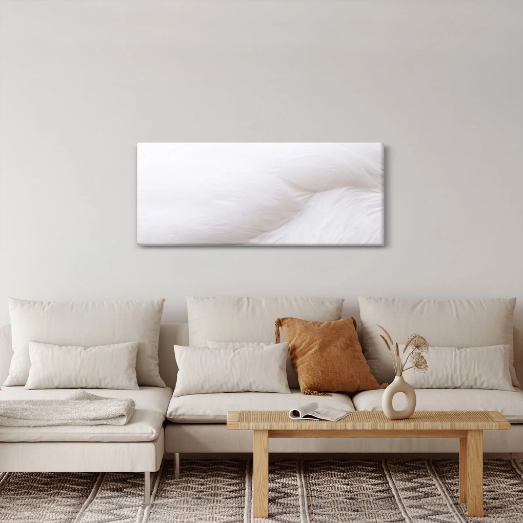 Kép - Fehér toll (120x50 cm)