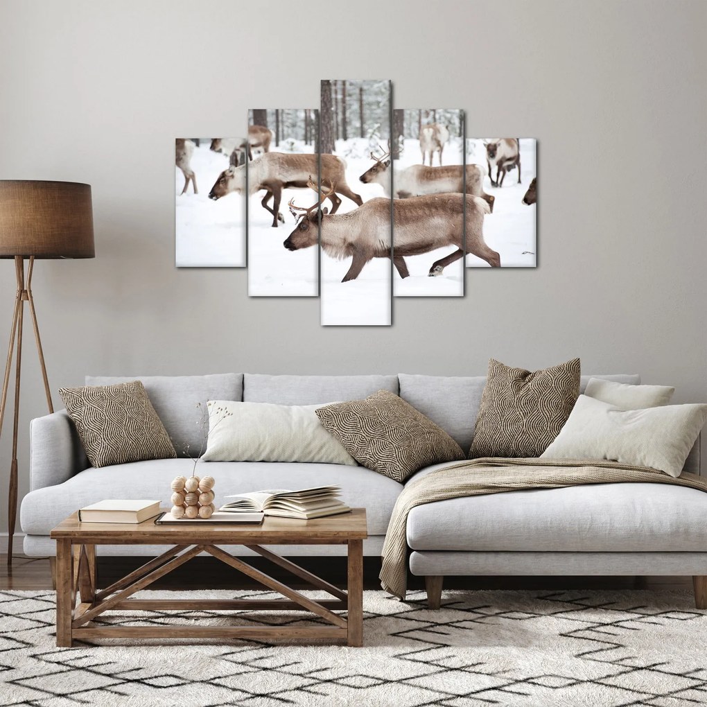 Kép - Rénszarvas (150x105 cm)