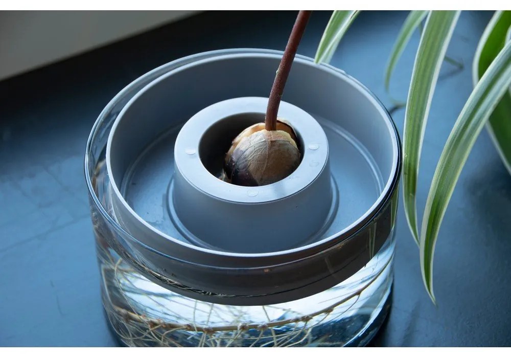 Üveg csíráztató tálka ø 14 cm Avocado – Esschert Design