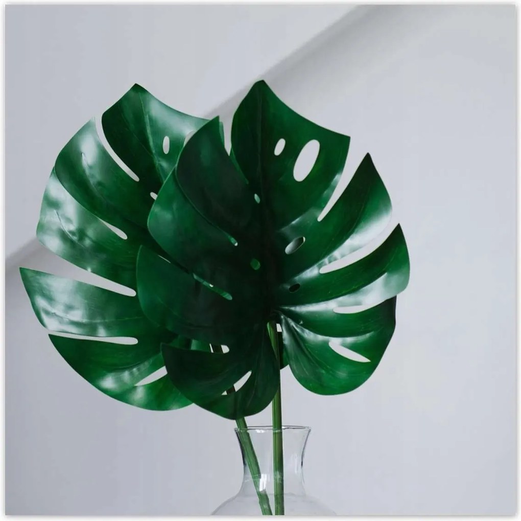 Poszterek 30x30 Mosnter levelek lyukas