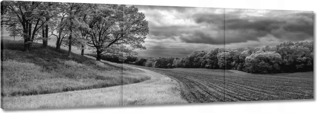 Vászonkép 150x50 Fekete-fehér mező