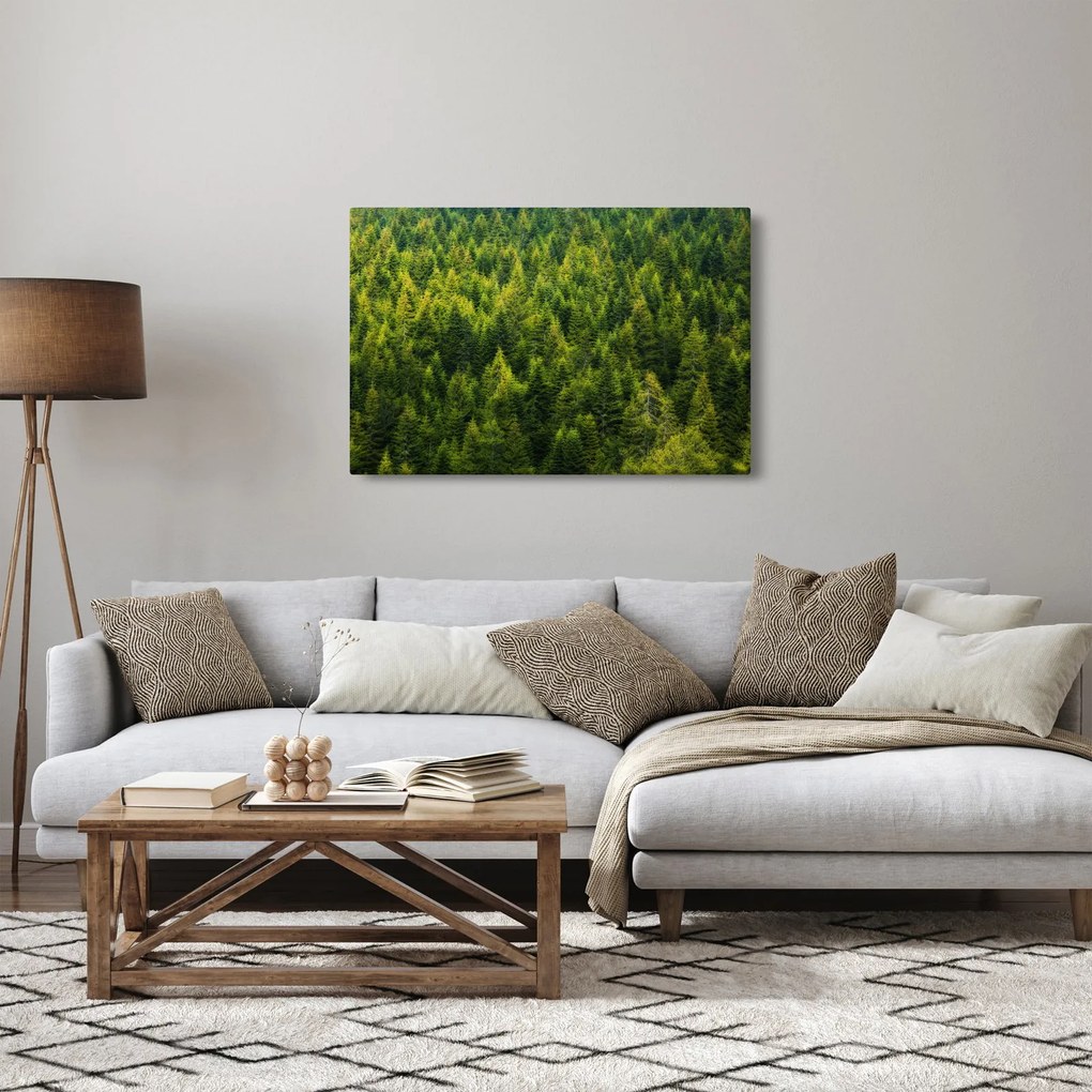 Kép - sűrű erdő (90x60 cm)