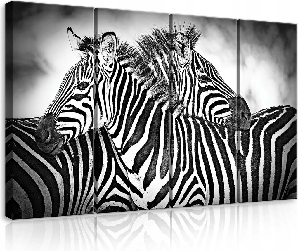 Vászonkép 120x80 Zebra monokróm vad természet Afrika csíkok állatok