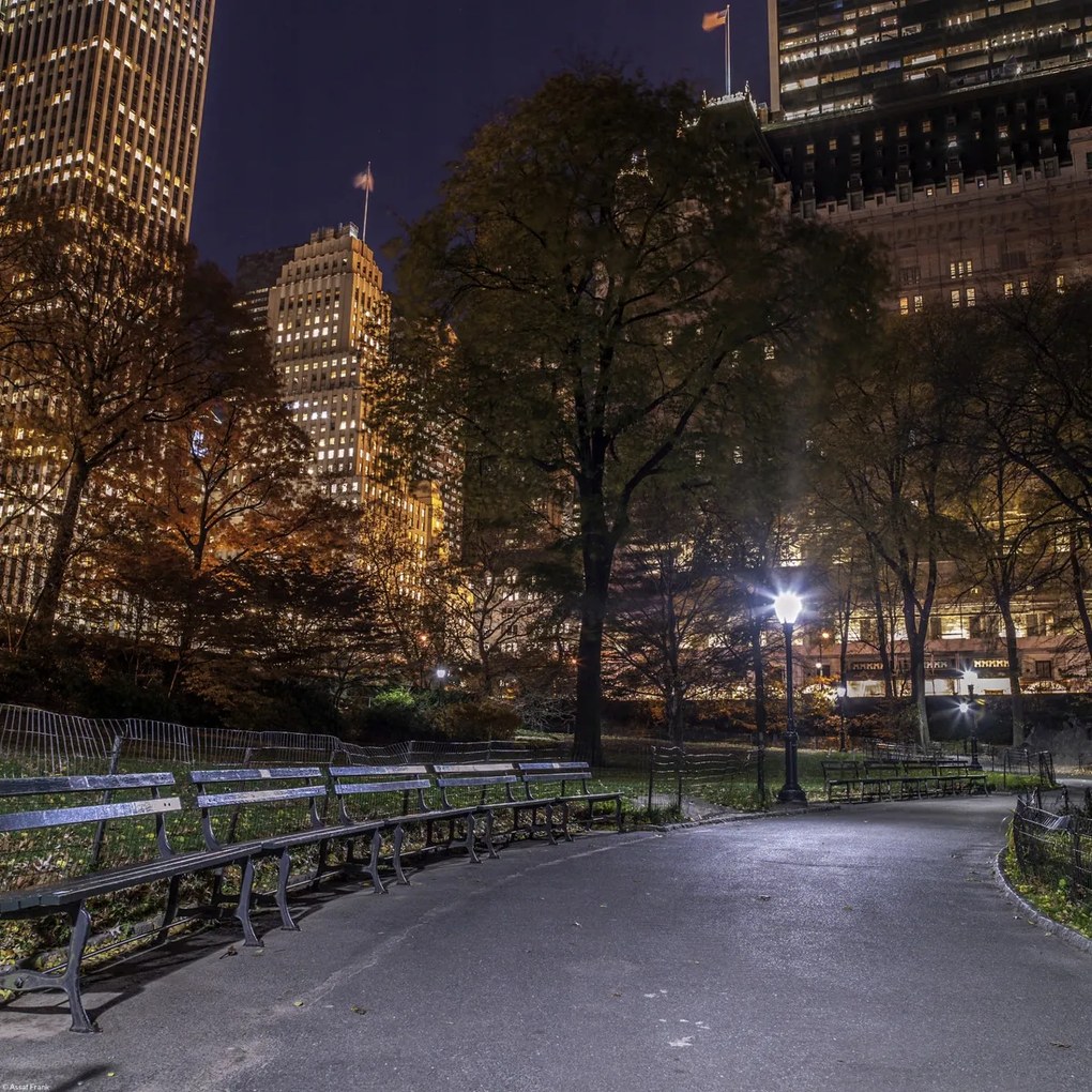 Poszter 40x40cm Esti kilátás a New York-i Central Parkra 4, Assaf Frank