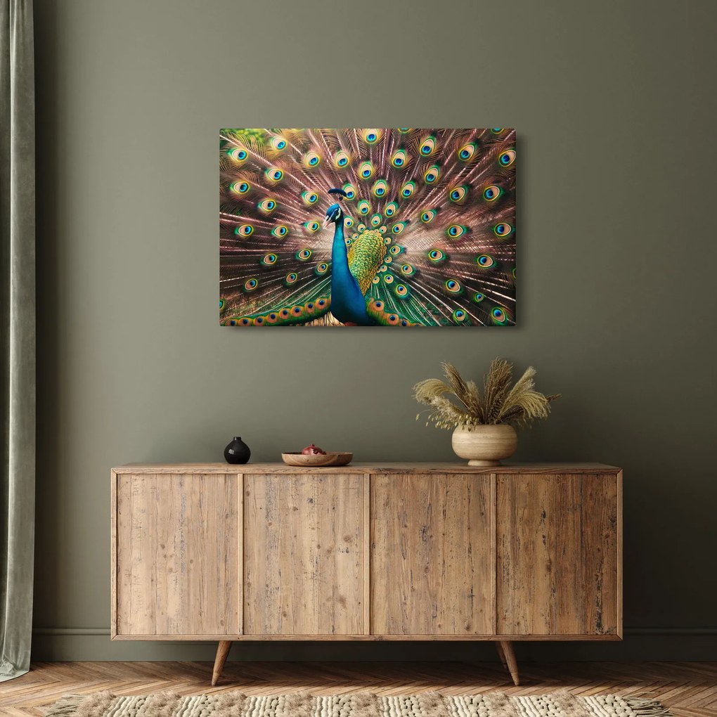 Kép - Páva (90x60 cm)