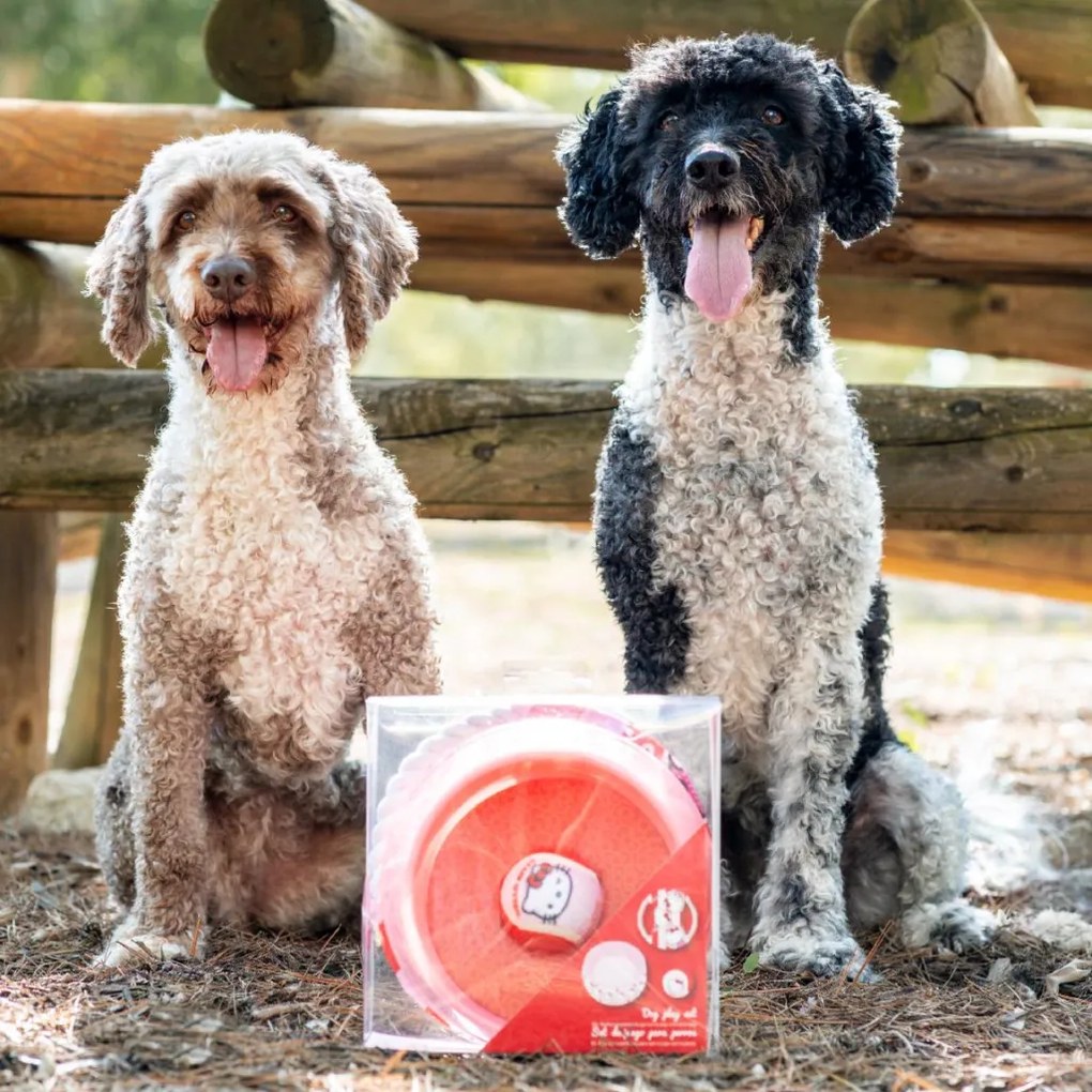 Hello Kitty Pink kisállat ajándék szett 3 db-os