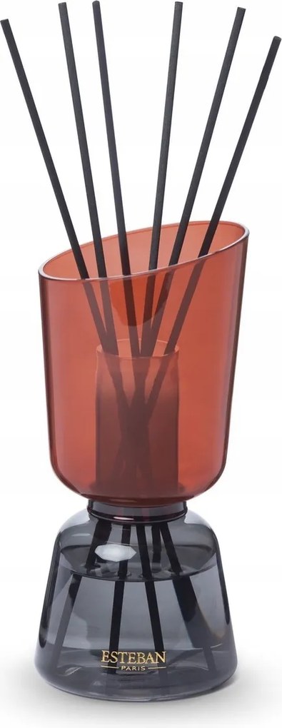 Esteban Iconic Üveg aroma diffúzor pálcikákkal 250 ml Iris Cachemire