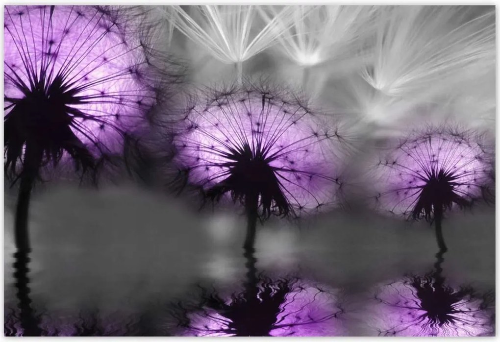 Poszterek 200x135 Tükröződés a vízben Sárkányok