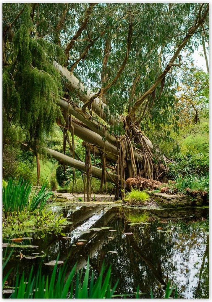 Poszterek 70x100 Tájkép Látvány