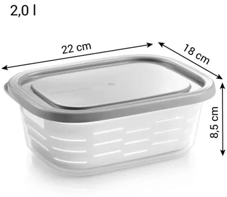 Tescoma 4FOOD fagyasztó doboz kosárral 2,0 l , 2 l
