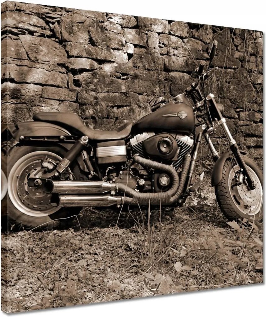 Vászonkép 40x40 Harley Davidson Motorkerékpár