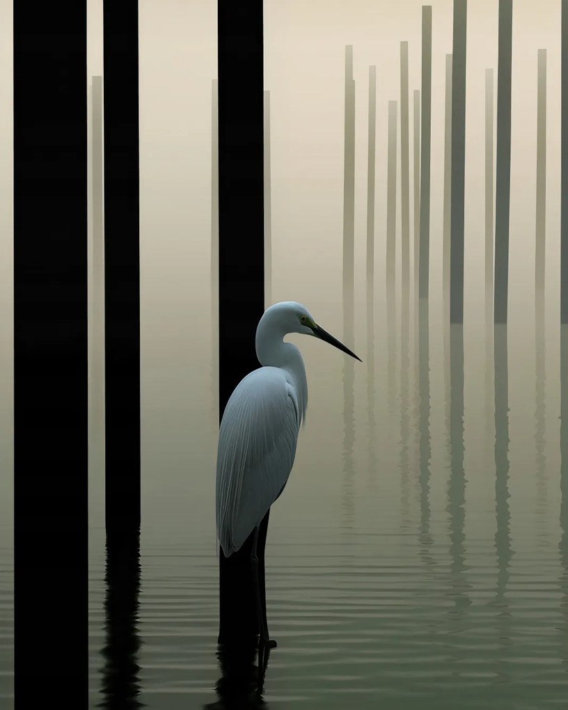 Poszter 40x50cm Köd a vízen