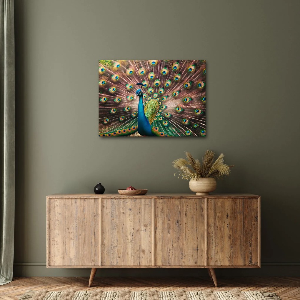 Kép - Páva (70x50 cm)