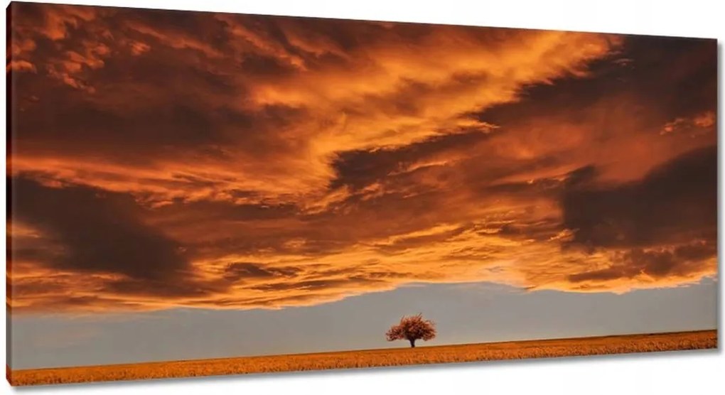 Vászonkép 115x55 Narancssárga égbolt