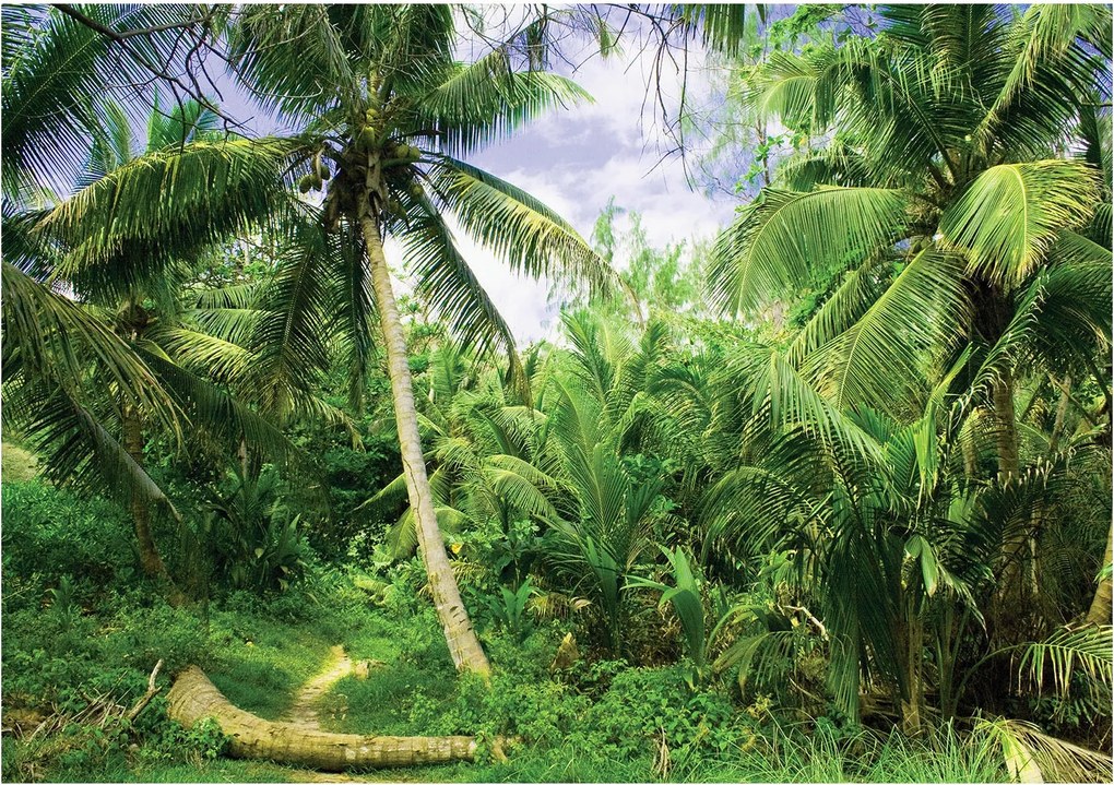 Fotótapéta Trópusi pálmafák paradicsoma Dzsungel Nyugalom és Egzotika 208x146 +ragasztó