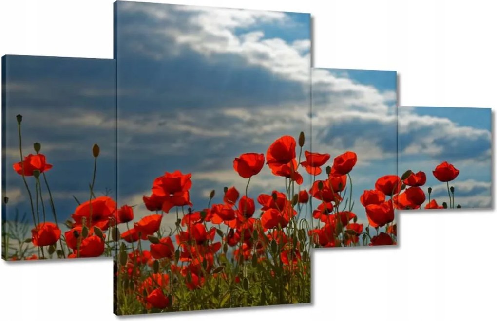 Vászonkép 130x80 Pipacs Virágok