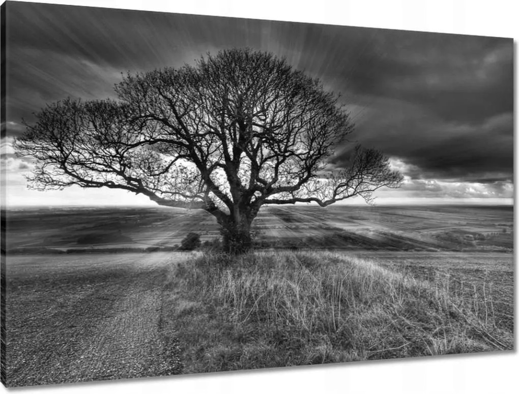 Vászonkép 90x60 Gyönyörű naplemente