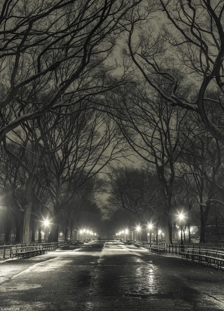 Poszter 20,5x28,4cm Éjszakai kilátás a Central Parkon át vezető útra, Assaf Frank