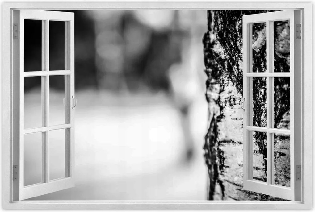 Poszterek 120x80 Nyírfa