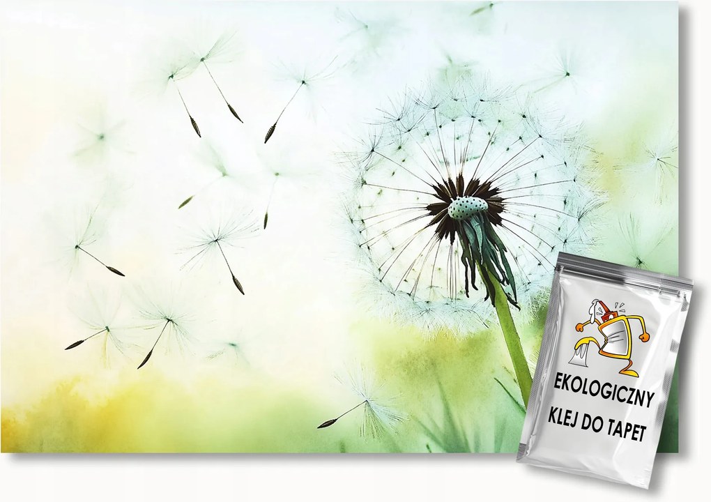 Fotótapéta Flizelina Természet Virág Tej Pitypang 350x250 ragasztó