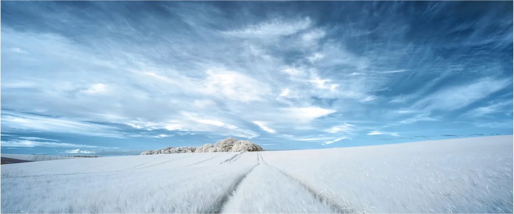 Mezőkép (120x50 cm)