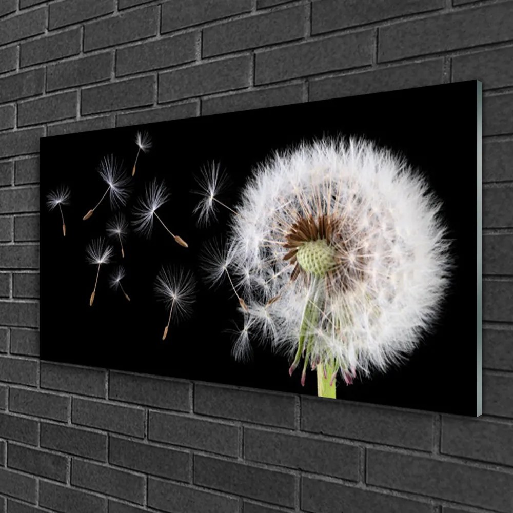 Fali üvegkép Pitypang 120x60cm