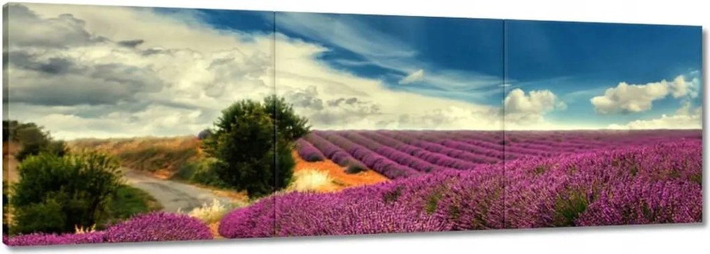 Vászonkép 60x20 Levendula tájkép