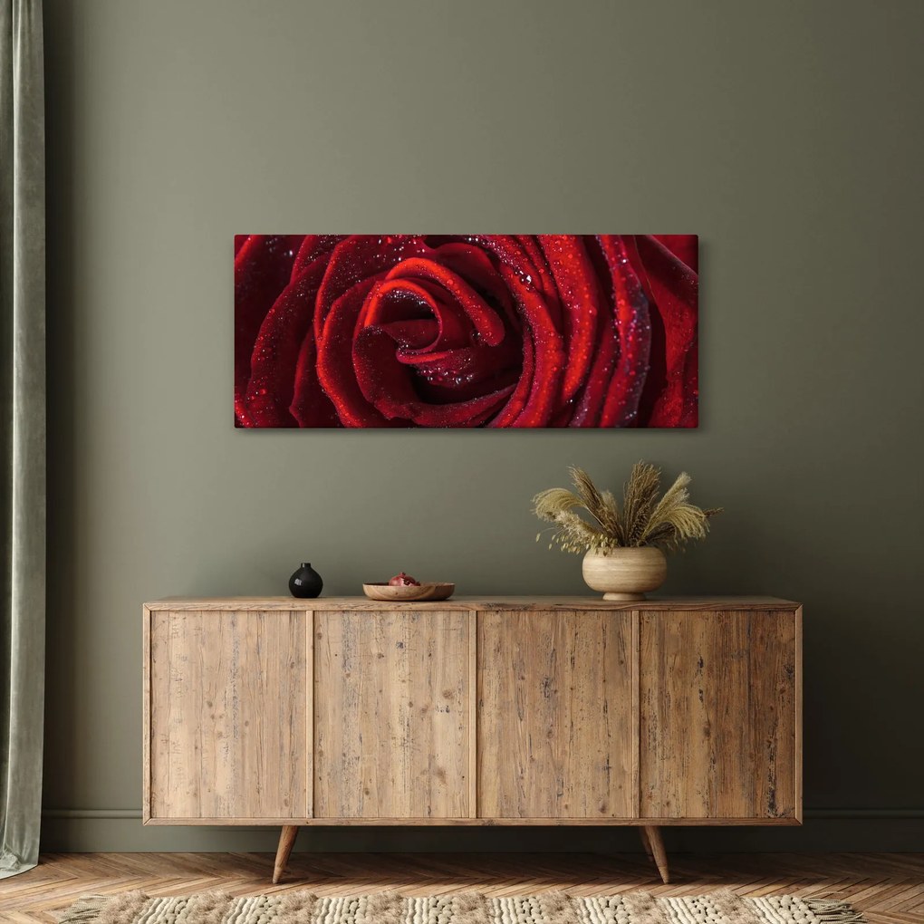 Kép - Vörös rózsa harmatcseppekkel (120x50 cm)