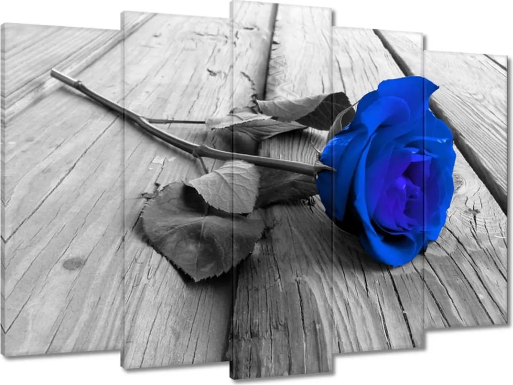 Vászonkép 70x50 Kék rózsa Ajándék